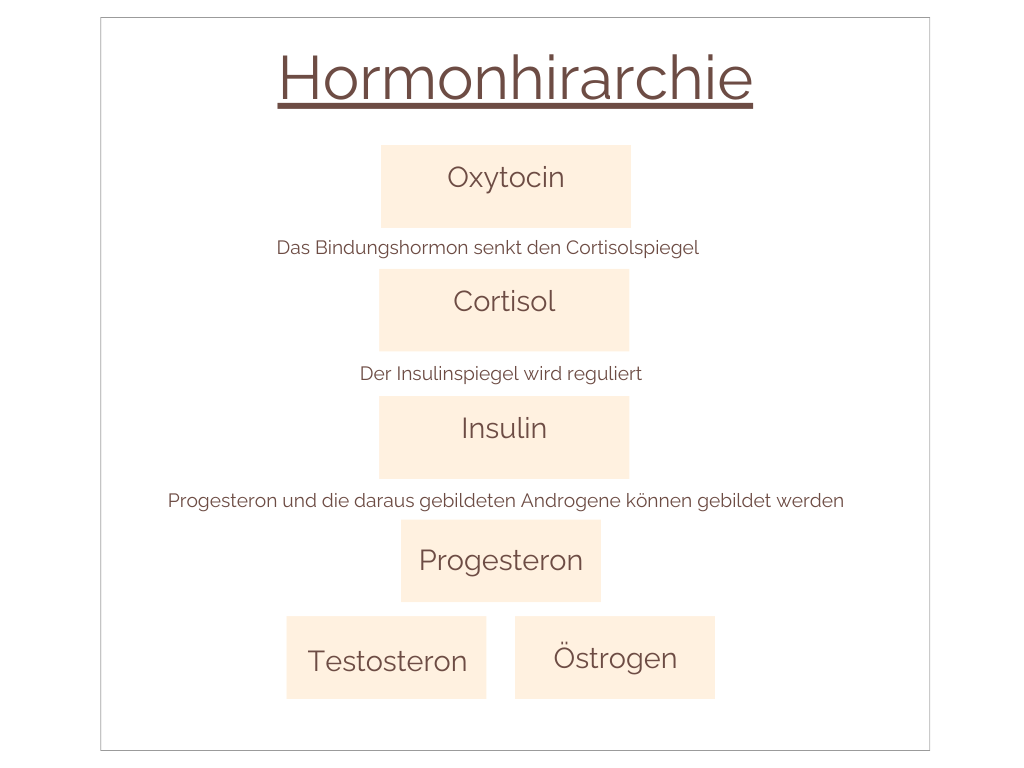 Hormon Grafiken (1)